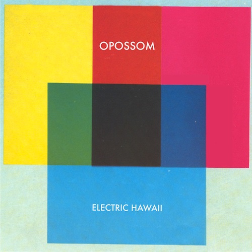 Opossom-Electric-Hawaii-cover-art